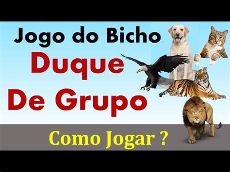 xata no jogo do bicho